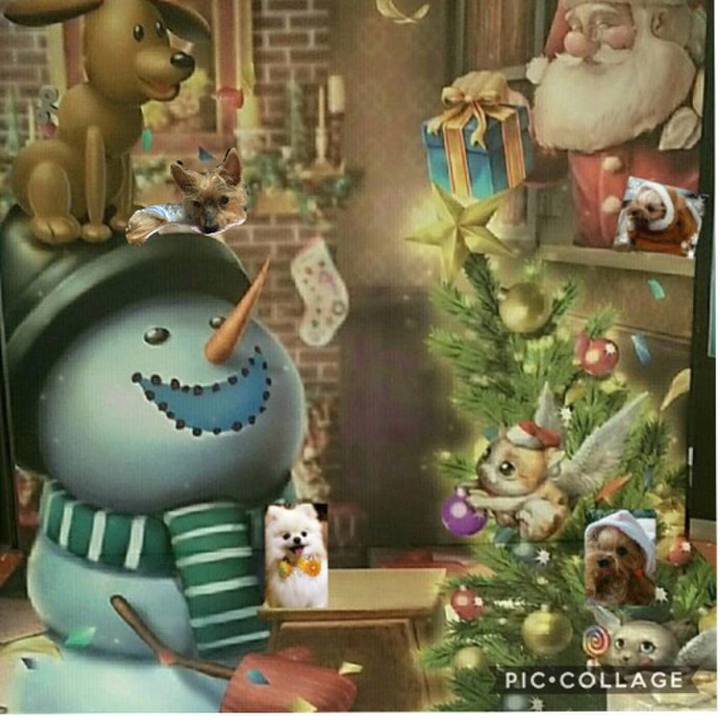 13816c14 ff99 4c31 bb98 39082b24cdd6 1512993546183