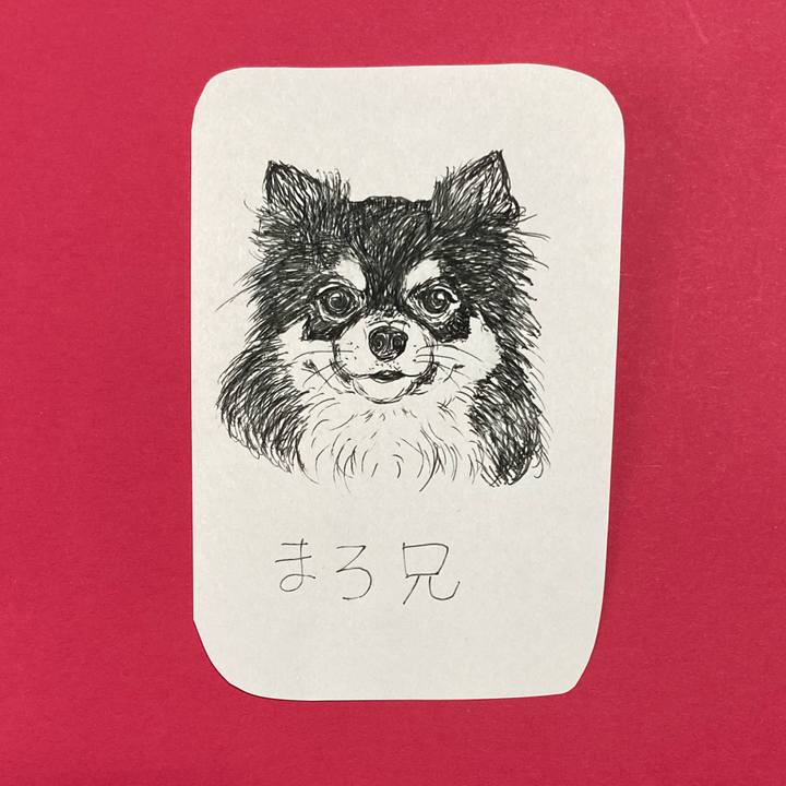 1381783f d520 49c0 b167 9146741304ce 1618804738327