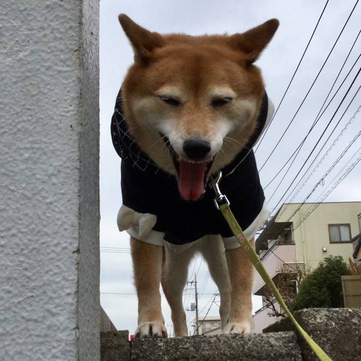 13819ceb a968 4770 b557 0742f1dfb720 1575857953470