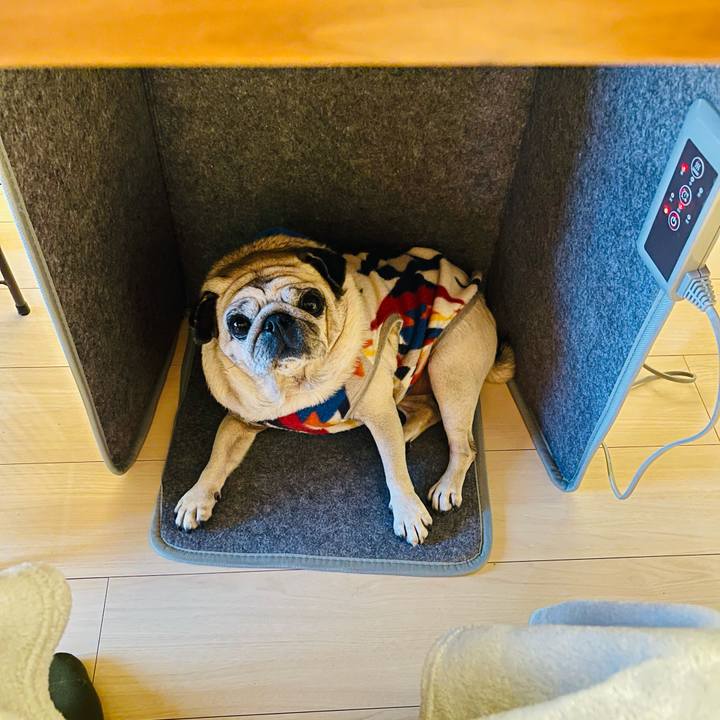 1381f958 8a04 4c61 b40b 9f709e8dfc2c 1768608012779