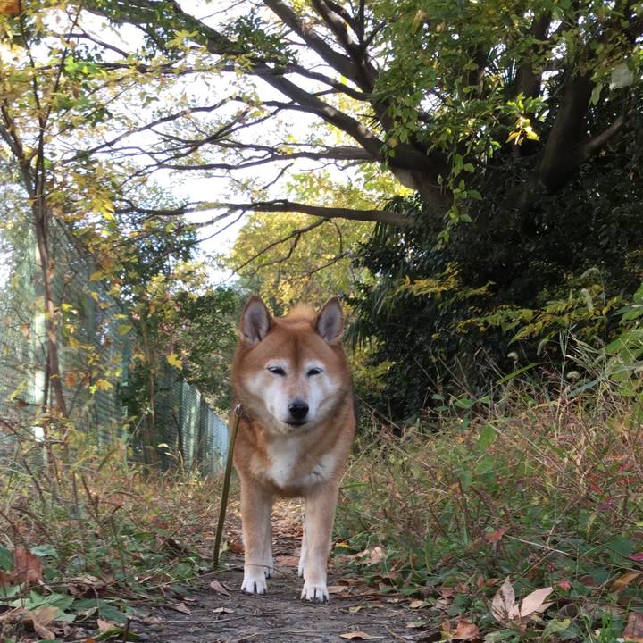 13820570 3cc7 4a8c 897d beacbc476ebc 1605747937959