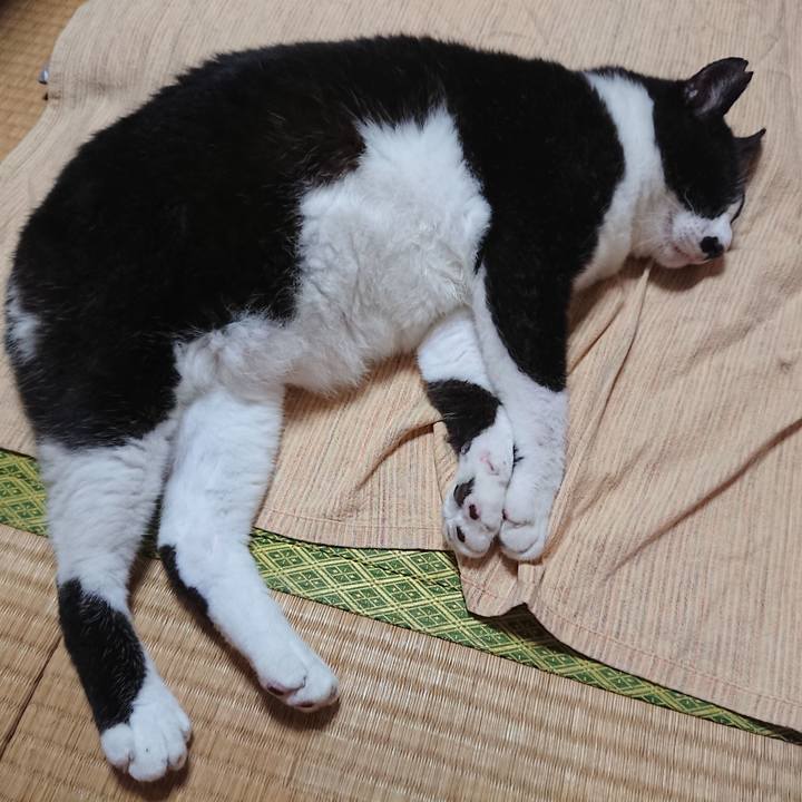 1382168b 0aa6 437a 9e0d bb6d89fe2def 1594729142582