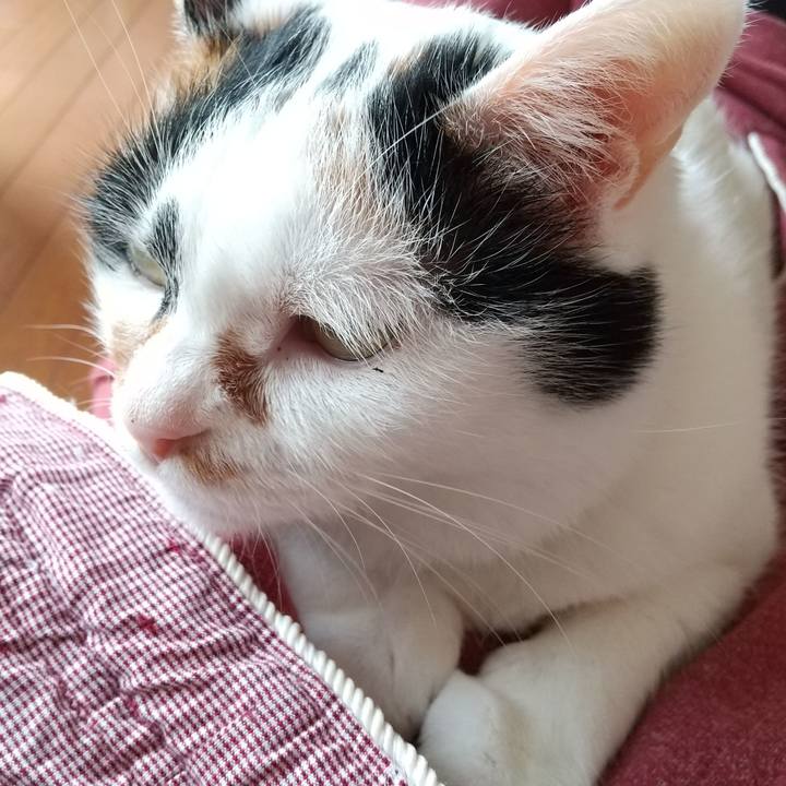 13821ff7 d1e8 4477 a96f 36703b129658 1593933554288