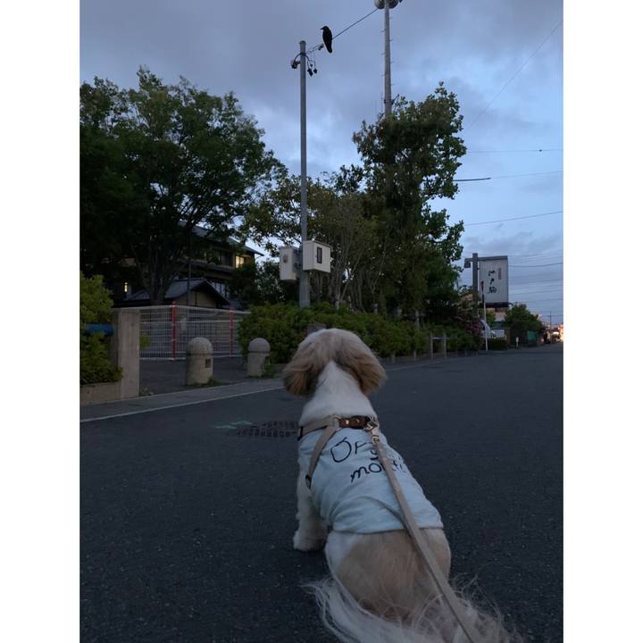 13822cec 9ea6 433e 808e aa6e650ccc1e 1619437966937