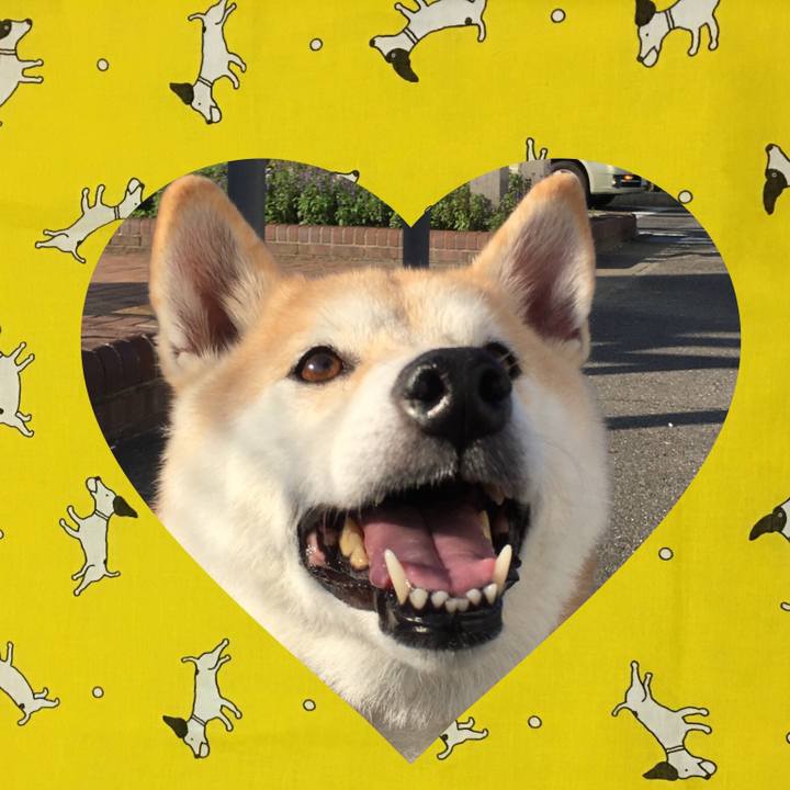 1382650c f7af 442a 9cd4 1c60cc448371 1528209587950