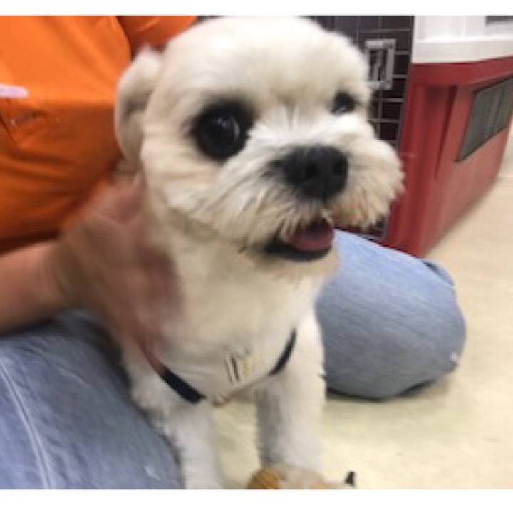 13827721 8fdd 4f5a b431 771d448a9d82 1536575550166