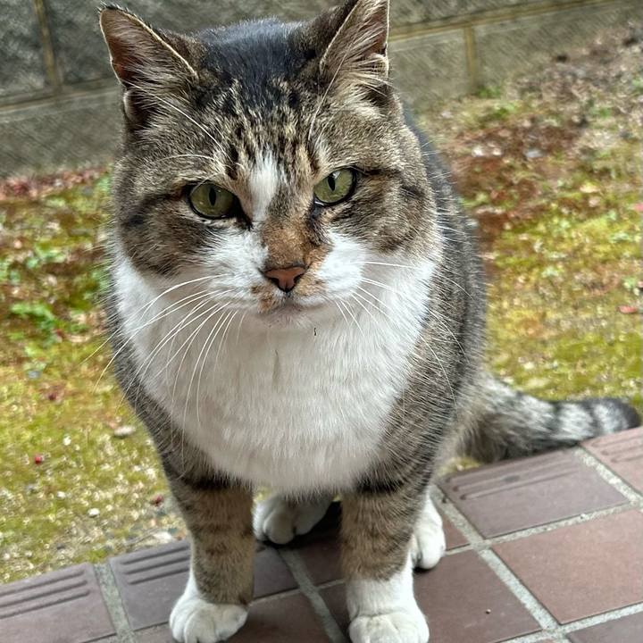 1382792e d7a2 4e7b 9944 bd2ddaba6d18 1770253123928