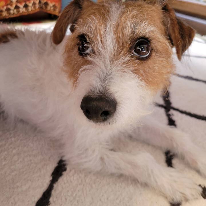 13827cda 9c83 4bc9 a232 fa25cf3e697a 1671066394917