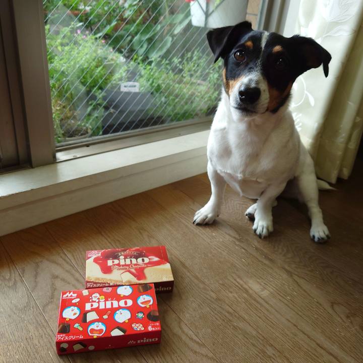 1382faee 7423 45db a25e f95b88f9e141 1716529566576