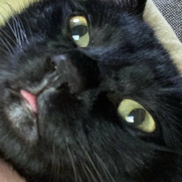 13834678 d9e4 4f3b 8da5 06c2250e5668 1629716117826