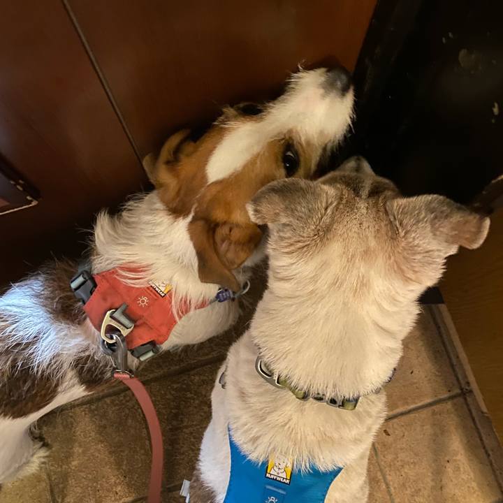 13836a77 98cb 4cce bef5 5cf6af81fcd3 1716934635172