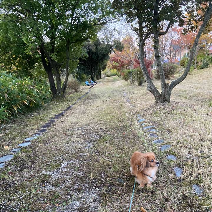 13837d0c 0aa5 4fcc 927c f4a3337abfe6 1605047540543