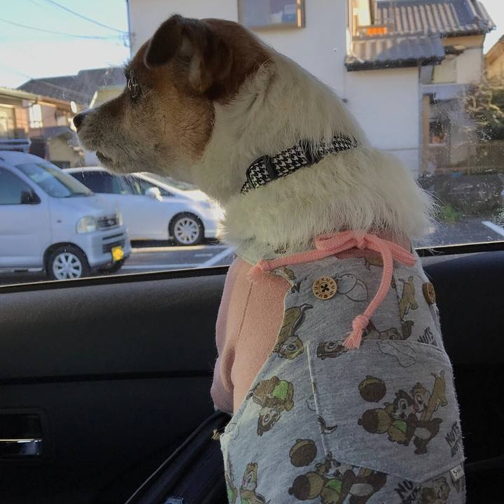 1383991b 5185 4134 8378 8fe2e332824c 1577871009000