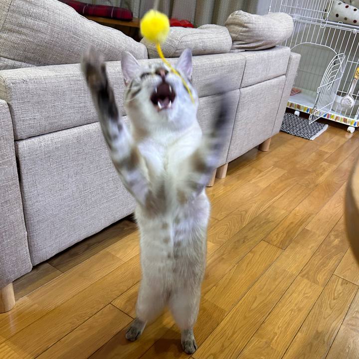 1383a640 17a3 4241 b44e 215c88d94ee9 1754568516351