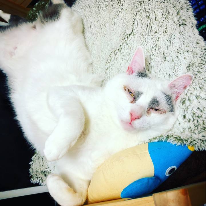 1383c48b 1c24 4800 be59 306a57004788 1519733612923