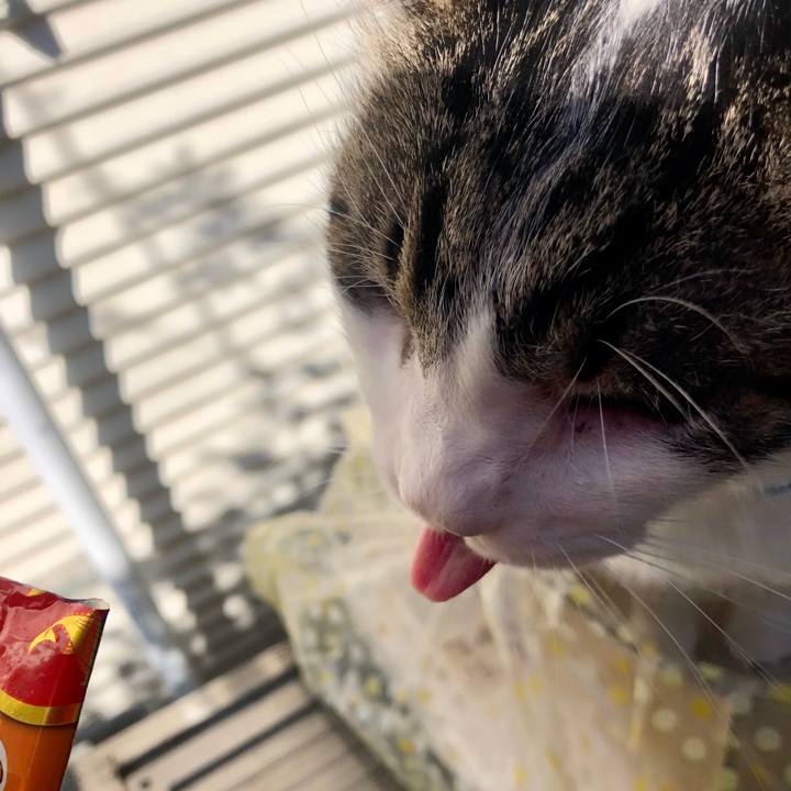 1383cb46 f455 4135 9bc1 301f95bca5c9 1577587984974