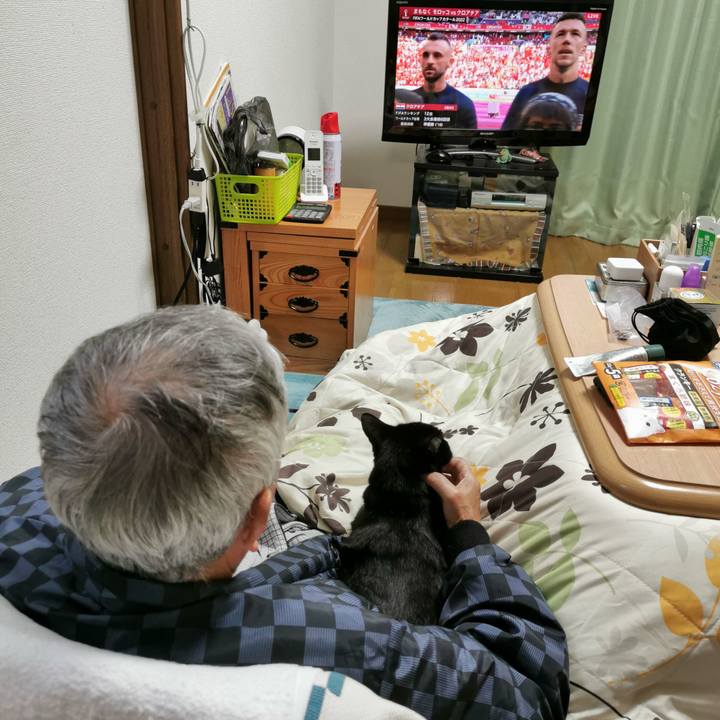 1383dbbf 32fd 45ef b098 90cd6ae44128 1669262288222