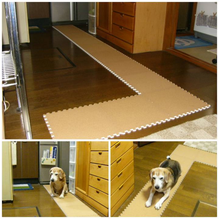 1383f0b3 5438 4394 a75f abb71a7182a5 1666053204672