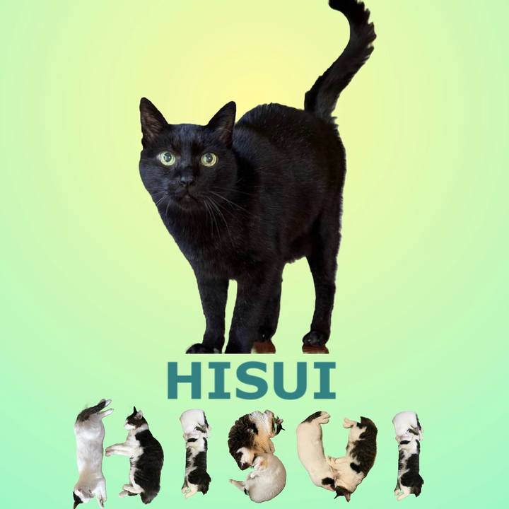 138410e2 bc2f 4367 933b bb64aa96e1e6 1668902796477