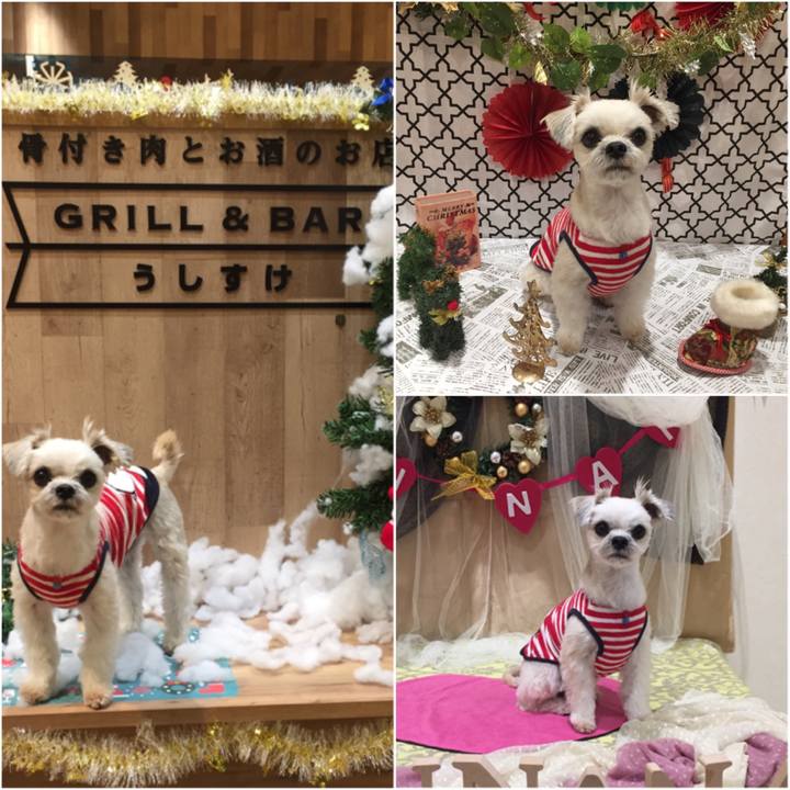 13841460 8d57 4452 bd67 46b00c66b33d 1544266707579