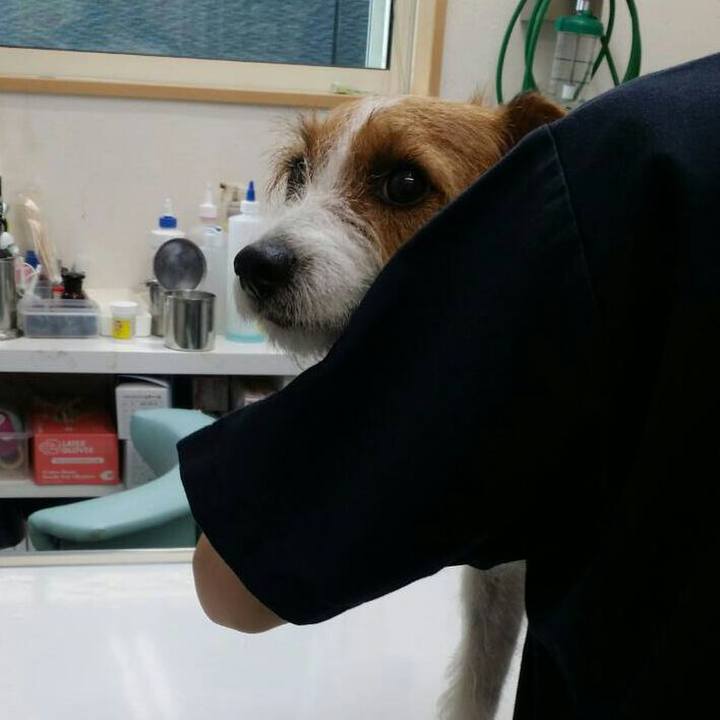 1384176e 17c3 40f7 bd05 c0ea9cc5954d 1540607214292