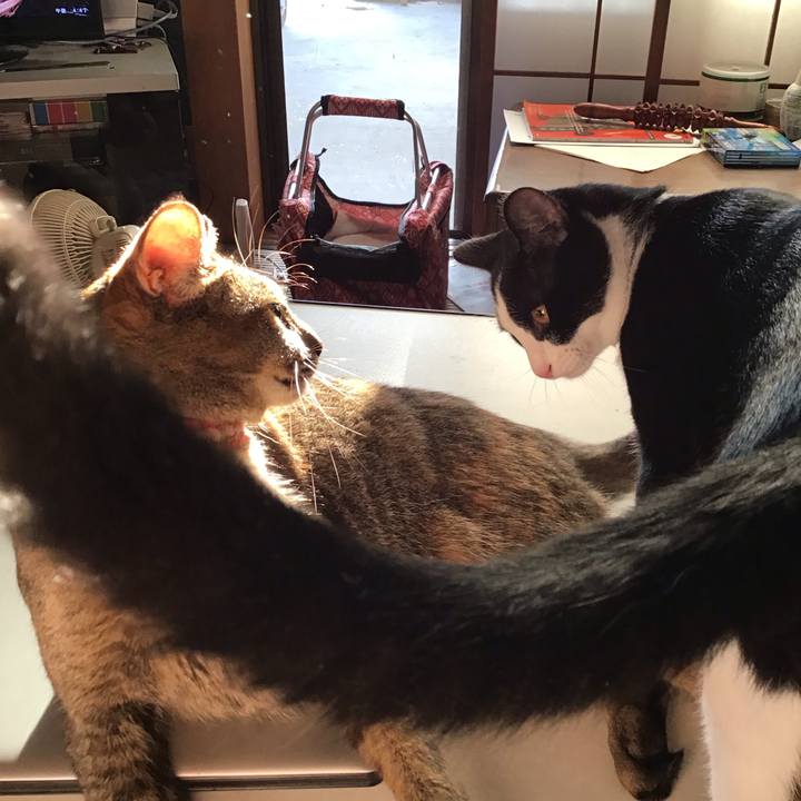 13842f2f cf1b 46b4 a83d 130b9ab1156c 1632393879308