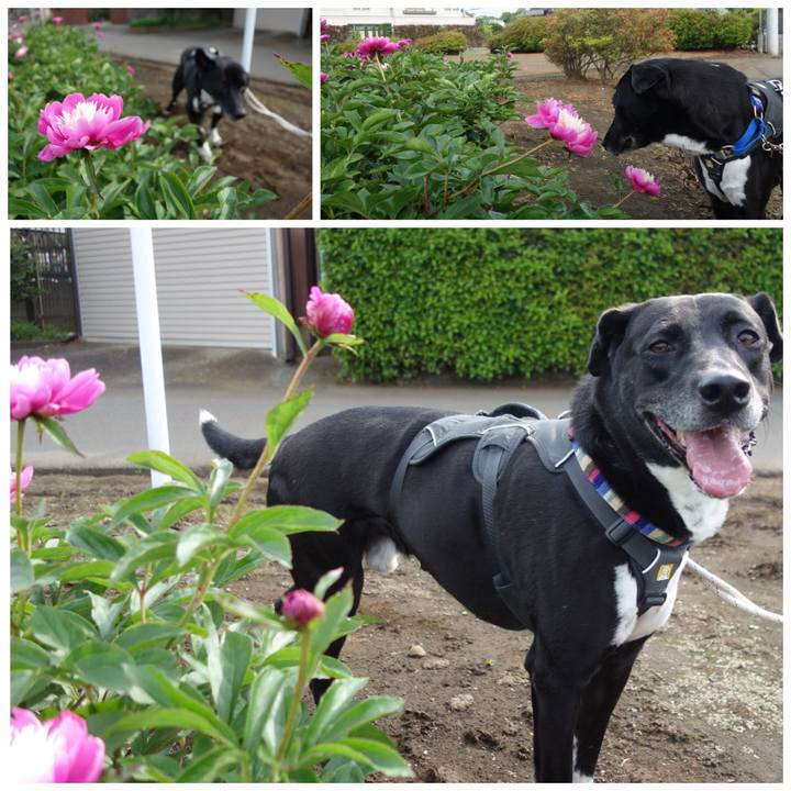 13843feb a9cd 462d b553 8cd557c05f1a 1651800040364