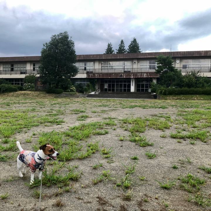 13844959 b1a9 4dfb b5fd 63132a7b45cb 1598955782671