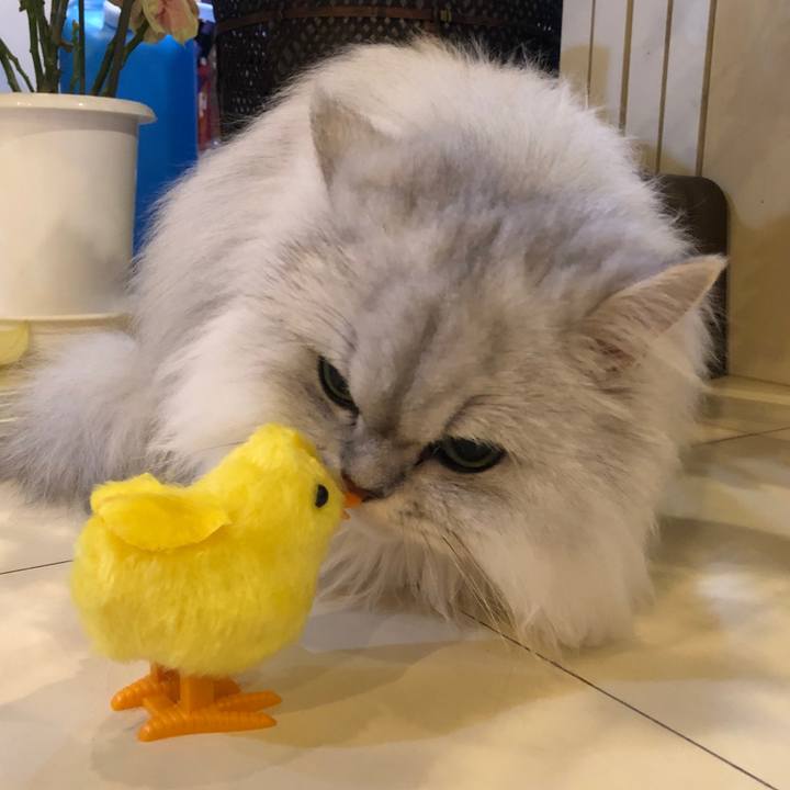 13844dd1 4e1c 46d1 938b a15f3ca96204 1546955950582