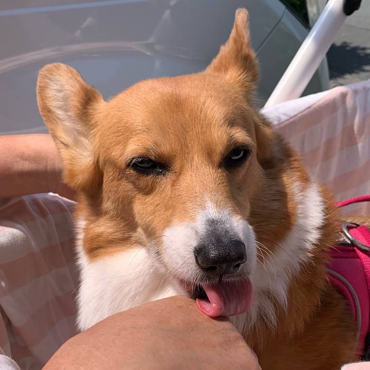 13846a90 93d4 4058 a283 1a50476b983d 1715413702339