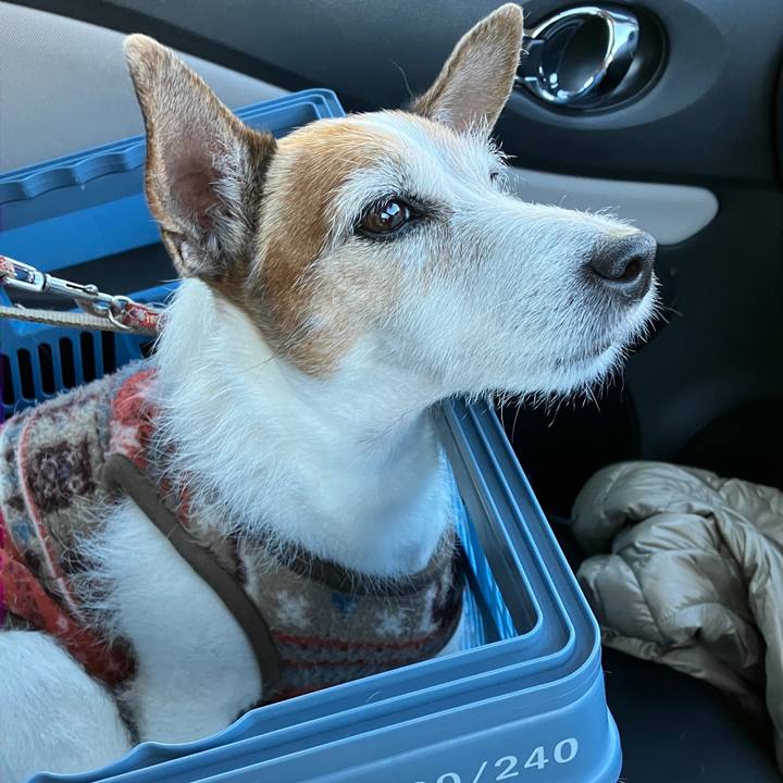 13848473 08eb 4401 b0f5 834d42a5d969 1702942263604