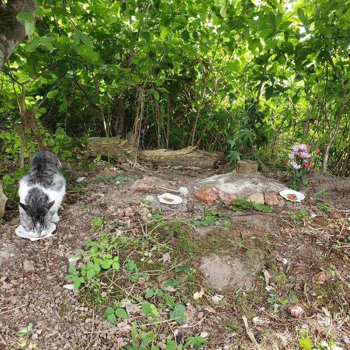 1384e58a f650 453f b65d 56c980acf5b9 1756399514371