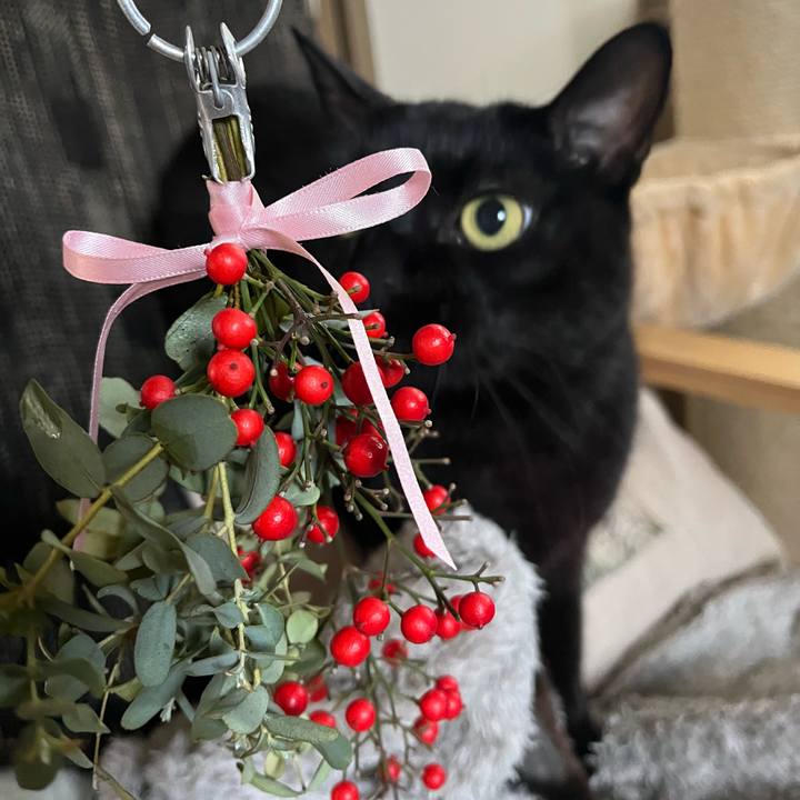 1384f115 5919 41d6 8401 137c6f7aa418 1764491997827