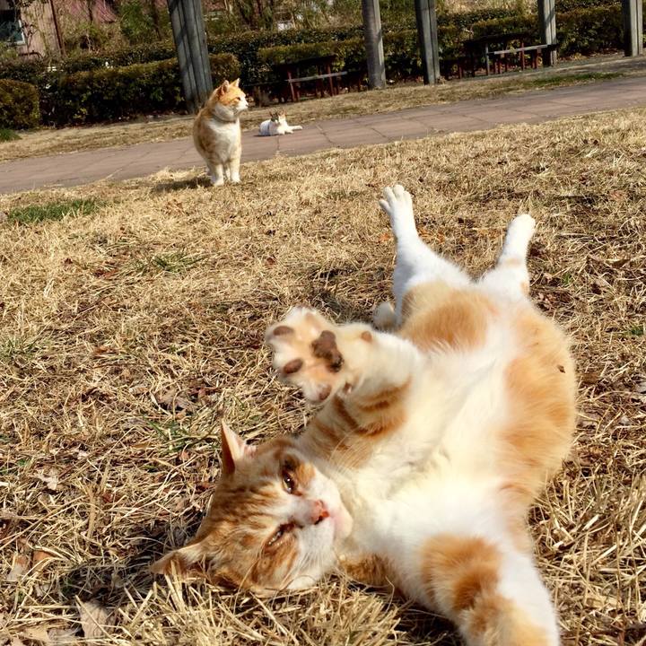 1384ff99 9197 4a20 99f4 0e0c7c672bac 1518793904159