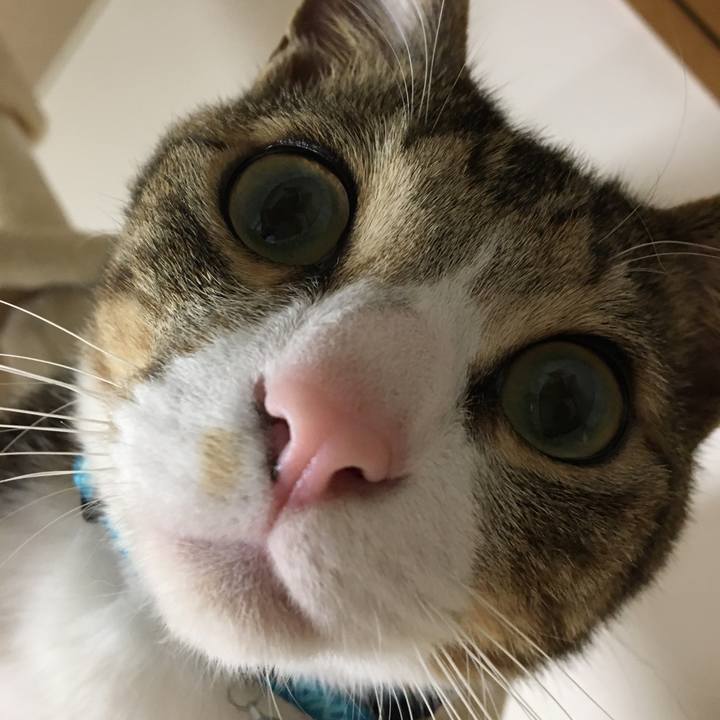 1385060c a910 40ec 9f08 2e4e2d4cf4c6 1676693182416