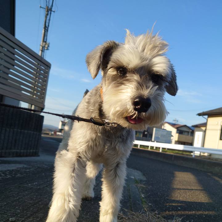 13850f25 3555 4a89 baeb d310d75dd5c1 1775215006229