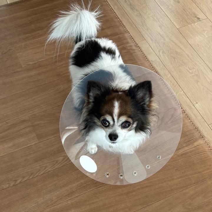 13851b60 a5dc 4e63 996b 06fbc08e381b 1769683524403