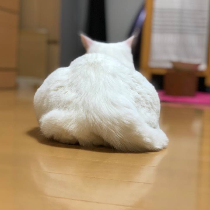 13853e7f b799 4e03 824f 61f45092efd4 1538137226116