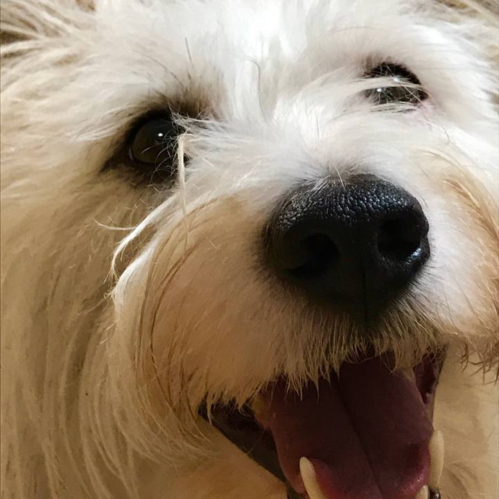 138608d9 0236 4a32 9086 45ff6a05093e 1512570431605