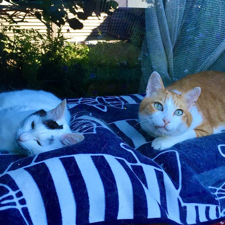 13861748 dfbd 49c0 8270 aa98640817a2 1592464728575