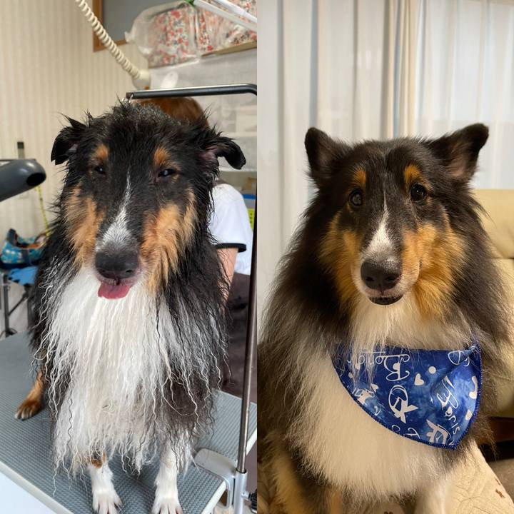 13863416 5349 49b8 a962 bcc53f3977b7 1631354857101