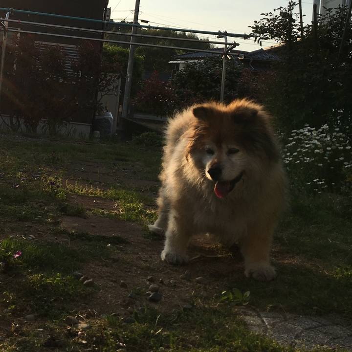 13867bc4 231f 40ea 88bd 441011999460 1593643212487