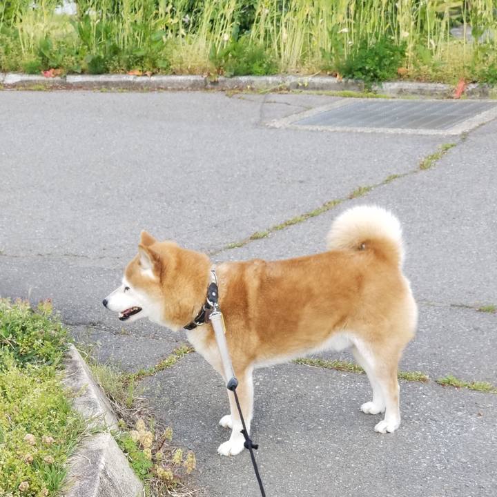 13867f56 7dc1 4f0d b584 3c94192aef2e 1620719364086