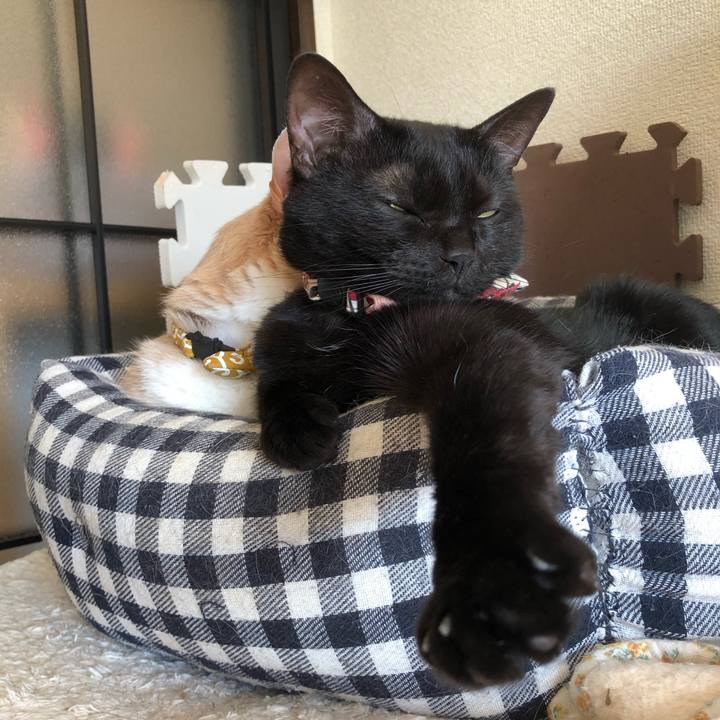 1386853b 3ffb 486c bc7f a1bfeff32533 1583544412708