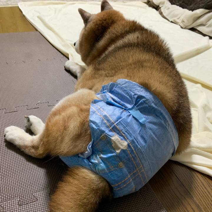 1386b4b6 451a 4048 becf 32fe795d3a55 1686826713211