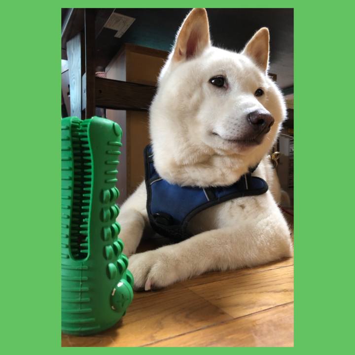 1386daf9 6834 4233 8f9f 4767929f8738 1630105507134