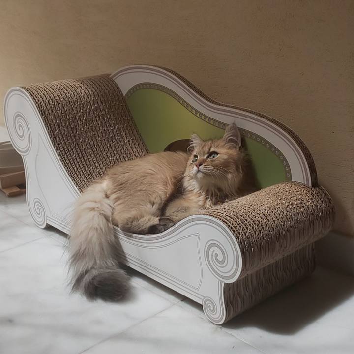 13870bbd 5cc8 4f20 97d0 23e3734024e7 1559263793874