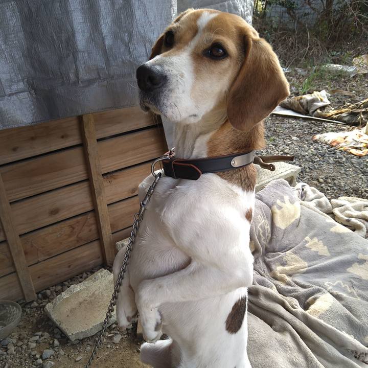 13874058 80dd 4672 9fbf a061fd86017c 1643786761734