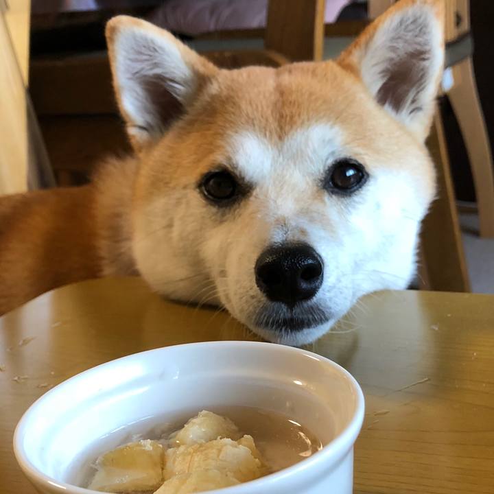 13875327 7a19 4c61 acbd a1acc1f4460d 1533076416377