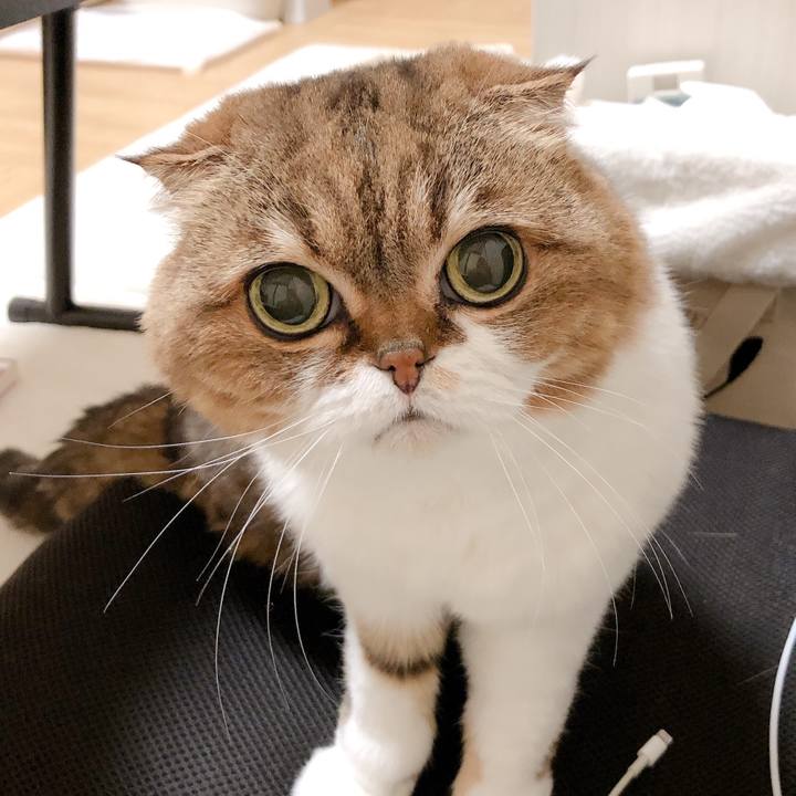 13876009 0d34 45e7 9442 e73dcf1a88ad 1608999729750